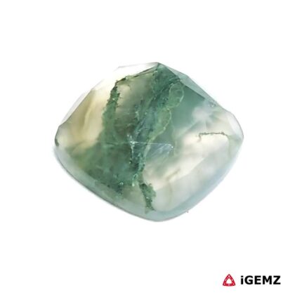 7.36 ct Green Moss Agate - iGemz24416 gemstone for sale at igemz.co.za