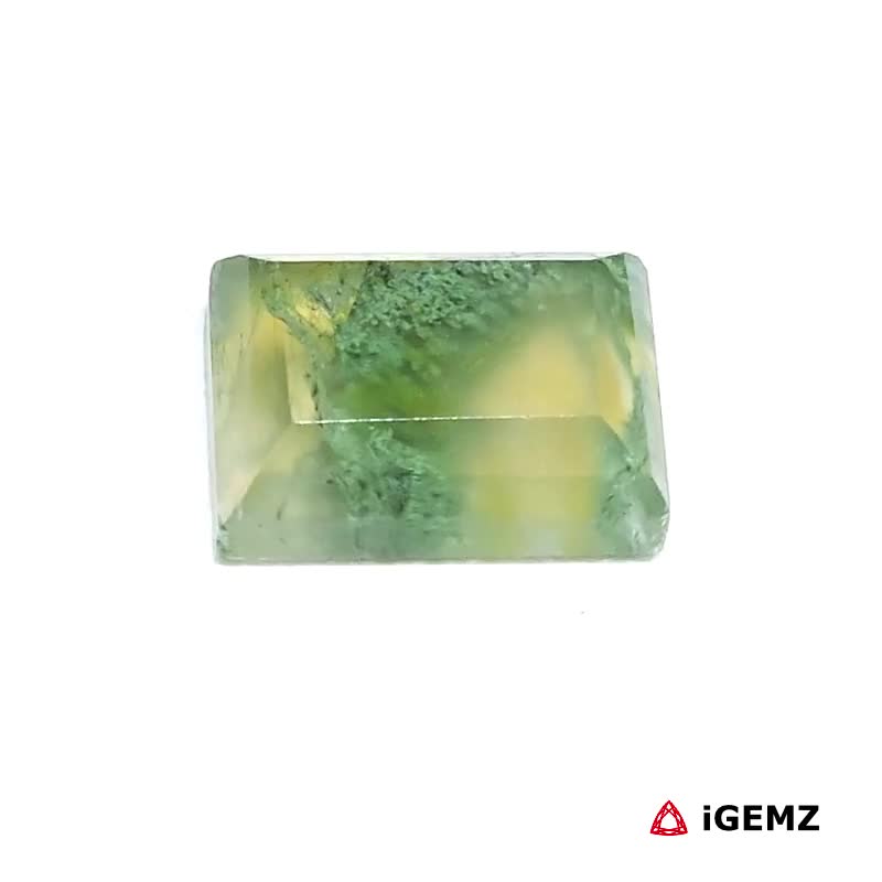 iGemz24424.1 5.14 ct Green Moss Agate - iGemz24424