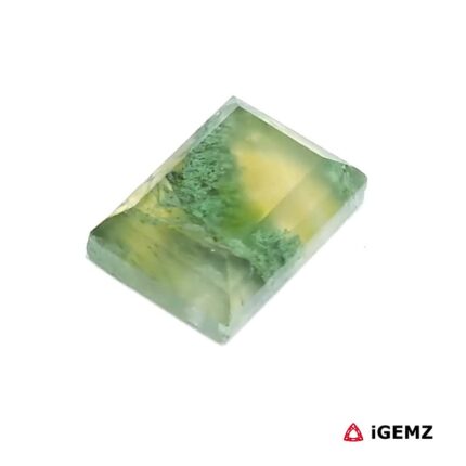 5.14 ct Green Moss Agate - iGemz24424