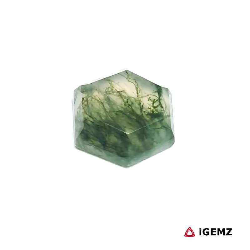 iGemz24425.1 3.27 ct Green Moss Agate - iGemz24425