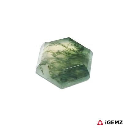 3.27 ct Green Moss Agate - iGemz24425