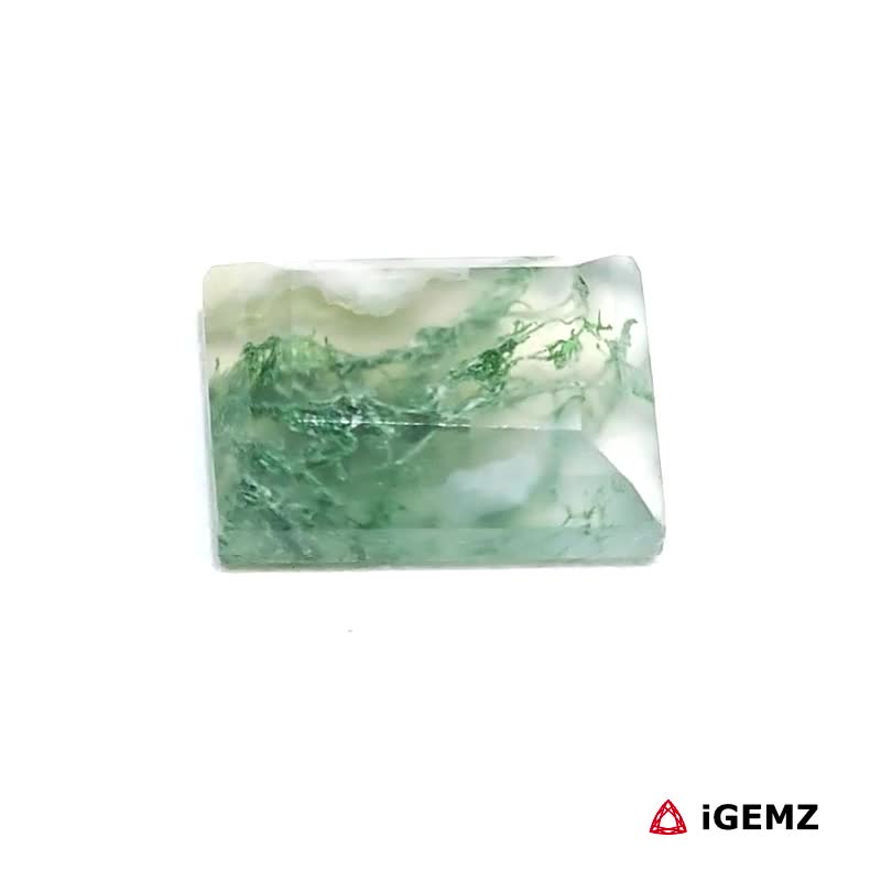 iGemz24428.1 5 ct Green Moss Agate - iGemz24428 gemstone for sale at igemz.co.za