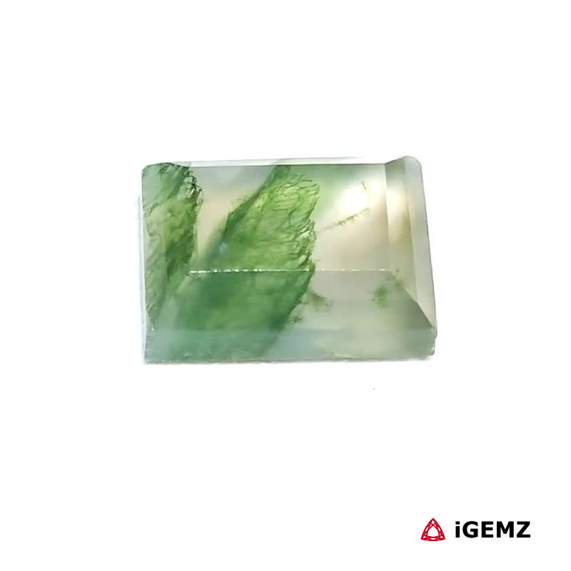 iGemz24438.1 5.2 ct Green Moss Agate - iGemz24438 gemstone for sale at igemz.co.za