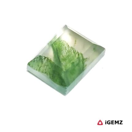 5.2 ct Green Moss Agate - iGemz24438 gemstone for sale at igemz.co.za