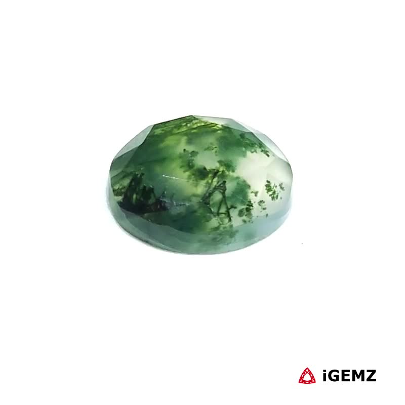 iGemz24442.1 3.29 ct Green Moss Agate - iGemz24442 gemstone for sale at igemz.co.za