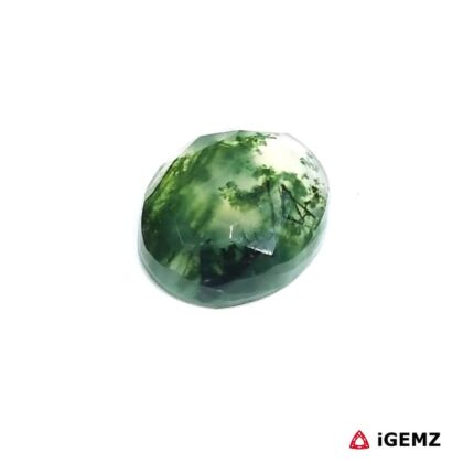 3.29 ct Green Moss Agate - iGemz24442 gemstone for sale at igemz.co.za