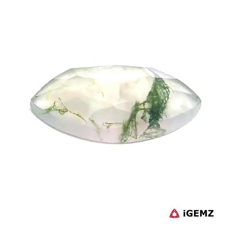 iGemz24443.1 5.4 ct Green Moss Agate - iGemz24443 gemstone for sale at igemz.co.za