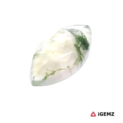 5.4 ct Green Moss Agate - iGemz24443 gemstone for sale at igemz.co.za