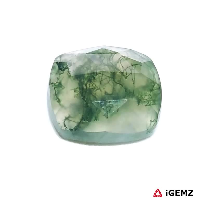iGemz24447.1 7.27 ct Green Moss Agate - iGemz24447 gemstone for sale at igemz.co.za