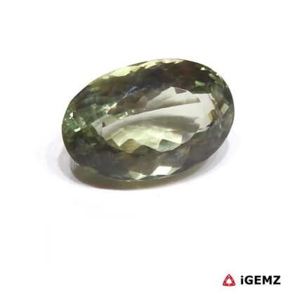 22.9 ct Green Prasiolite - iGemz26134