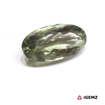 19.5 ct Green Prasiolite - iGemz26137