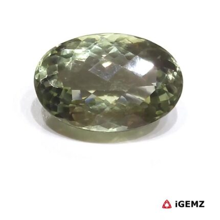 24.7 ct Green Prasiolite - iGemz26152
