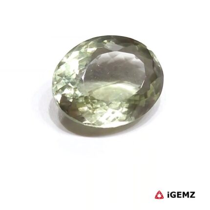 11.9 ct Green Prasiolite - iGemz26156