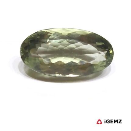20.1 ct Green Prasiolite - iGemz26160