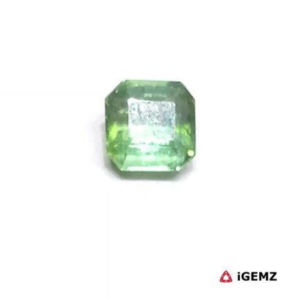 1.5 ct Green Tourmaline - iGemz26249