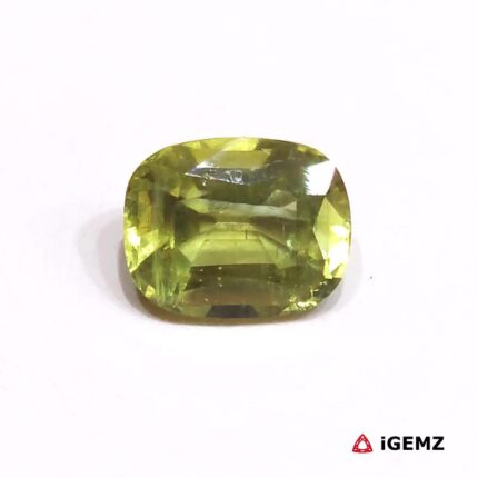 6.6 ct Green Apatite - iGemz30370