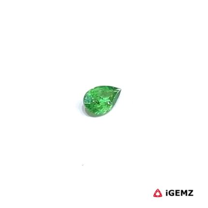 0.15 ct Garnet Tsavorite - iGemz30490