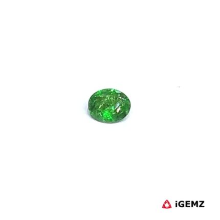 0.19 ct Green Garnet Tsavorite - iGemz30492