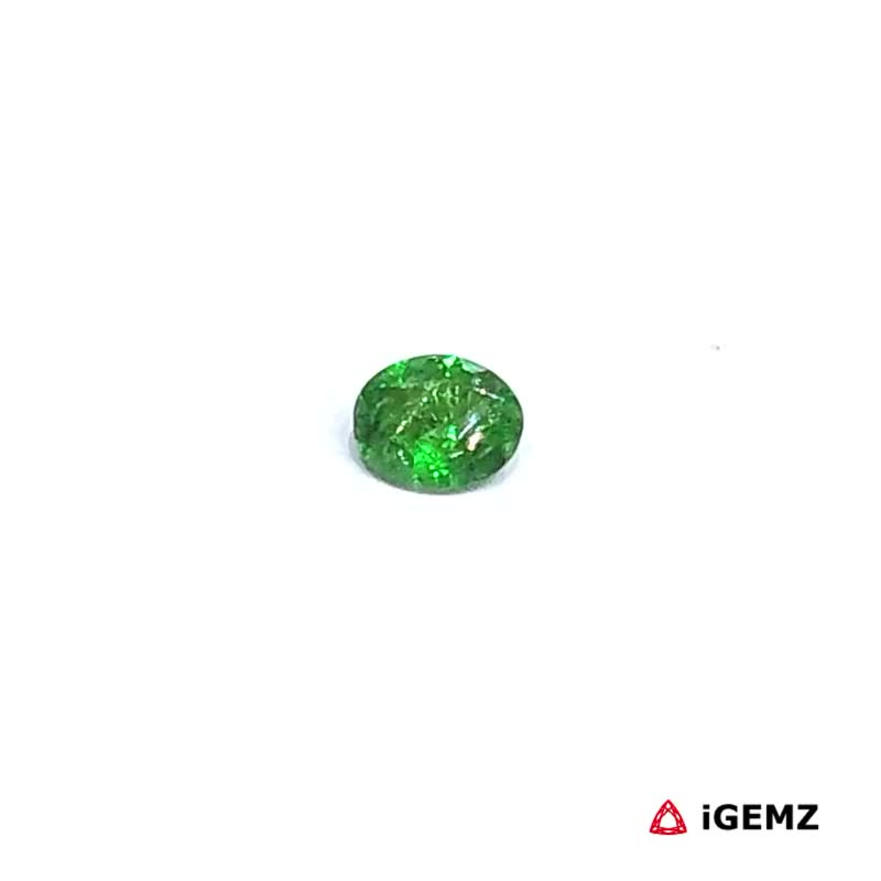 iGemz30492.1 0.19 ct Green Garnet Tsavorite - iGemz30492