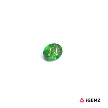 0.19 ct Green Garnet Tsavorite - iGemz30492