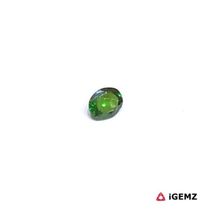 0.24 ct Green Garnet Tsavorite - iGemz30494