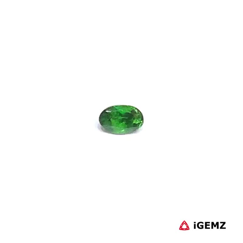 iGemz30495.1 0.19 ct Green Garnet Tsavorite - iGemz30495