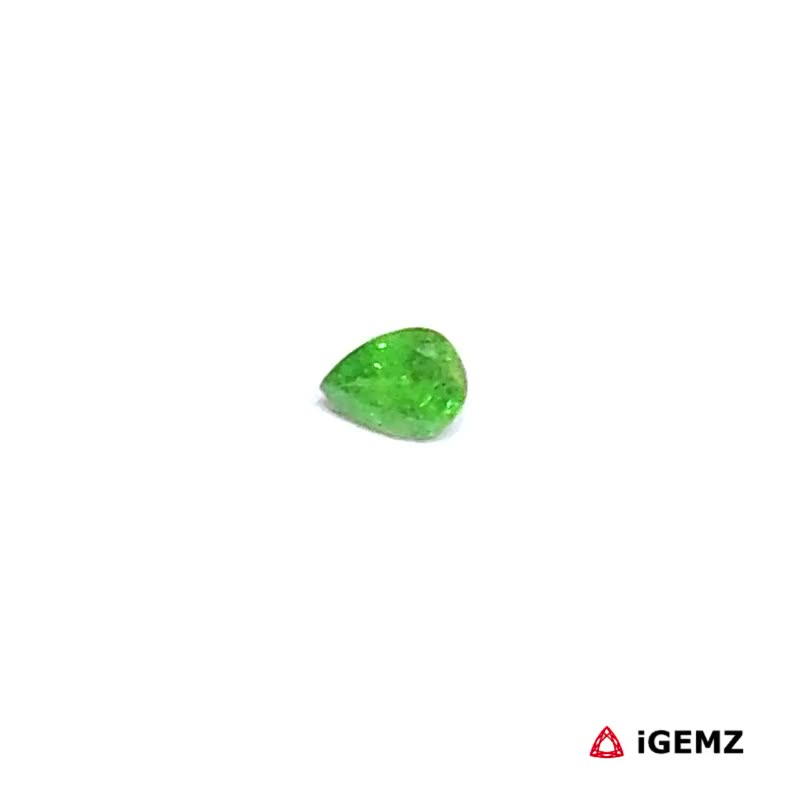 iGemz30502.1 0.19 ct Green Garnet Tsavorite - iGemz30502
