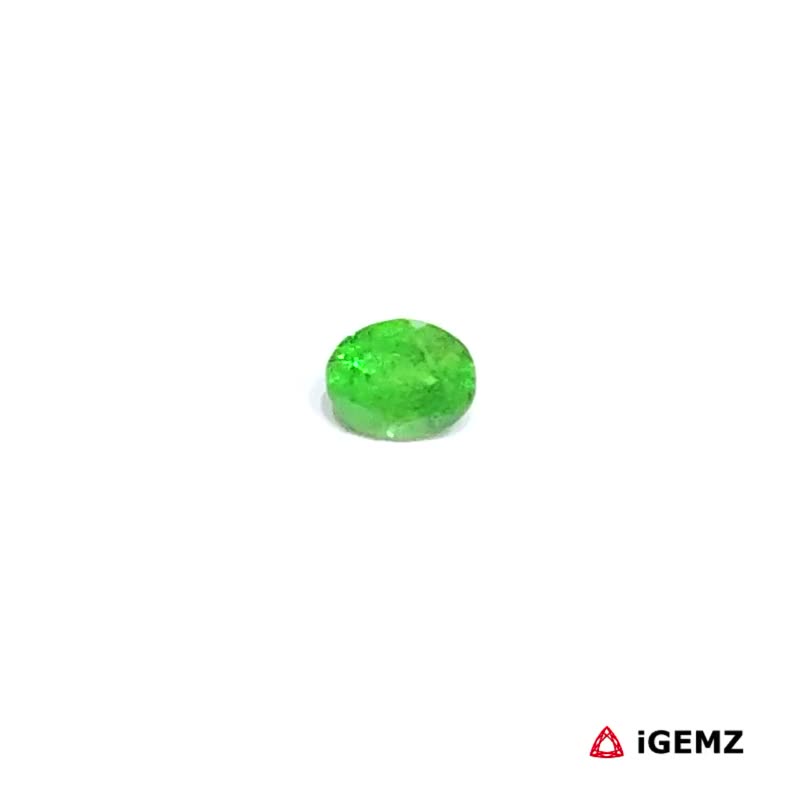 iGemz30504.1 0.27 ct Green Garnet Tsavorite - iGemz30504