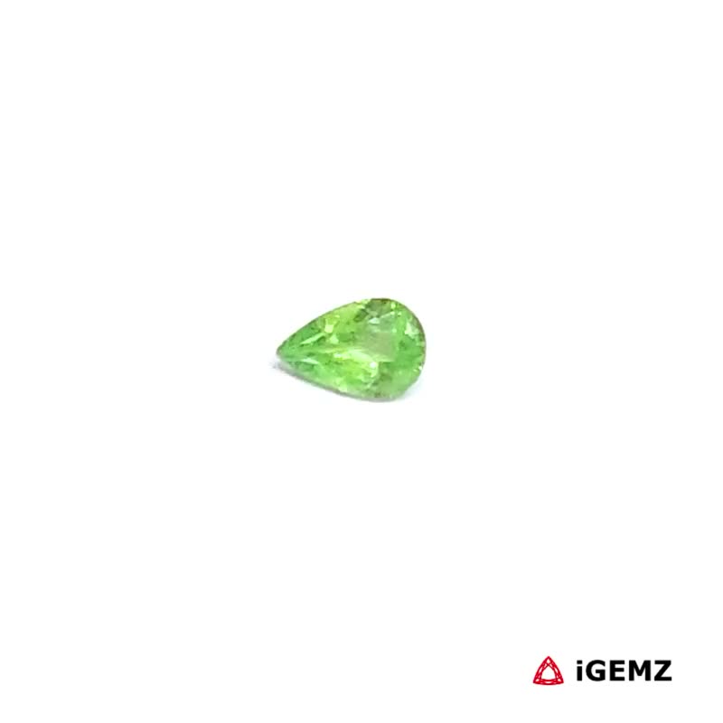 iGemz30509.1 0.19 ct Green Garnet Tsavorite - iGemz30509
