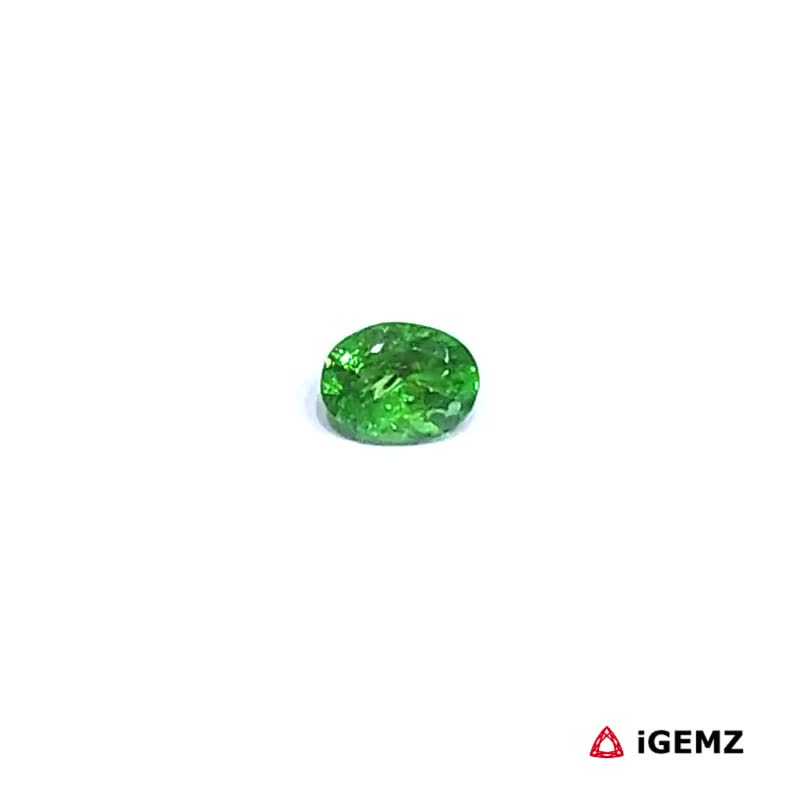 iGemz30510.1 0.24 ct Green Garnet Tsavorite - iGemz30510