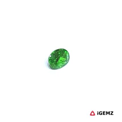 0.24 ct Green Garnet Tsavorite - iGemz30510
