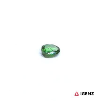 0.21 ct Green Garnet Tsavorite - iGemz30515