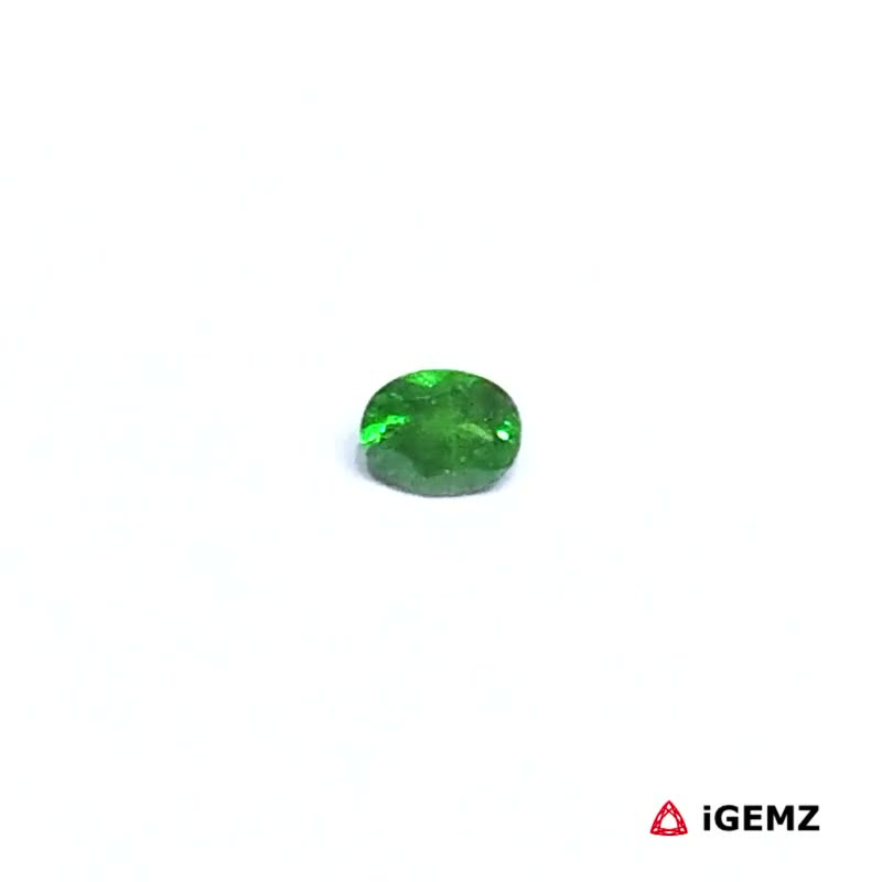 iGemz30519.1 0.25 ct Green Garnet Tsavorite - iGemz30519