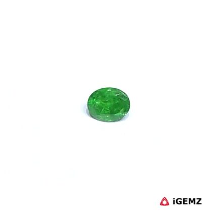 0.25 ct Green Garnet Tsavorite - iGemz30525