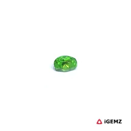 0.2 ct Green Garnet Tsavorite - iGemz30526