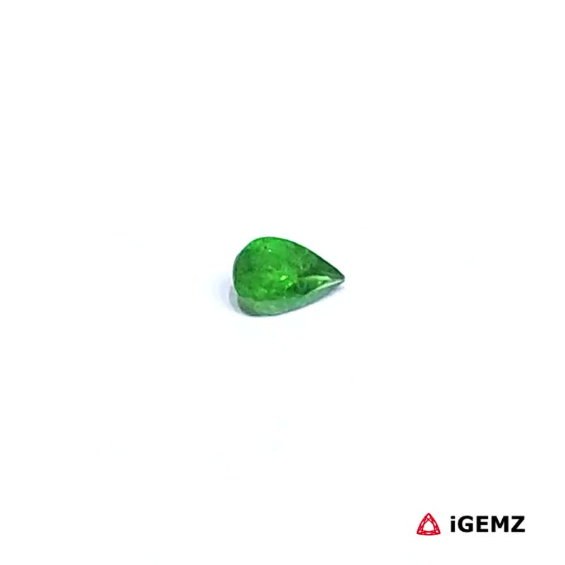 iGemz30528.1 0.21 ct Green Garnet Tsavorite - iGemz30528