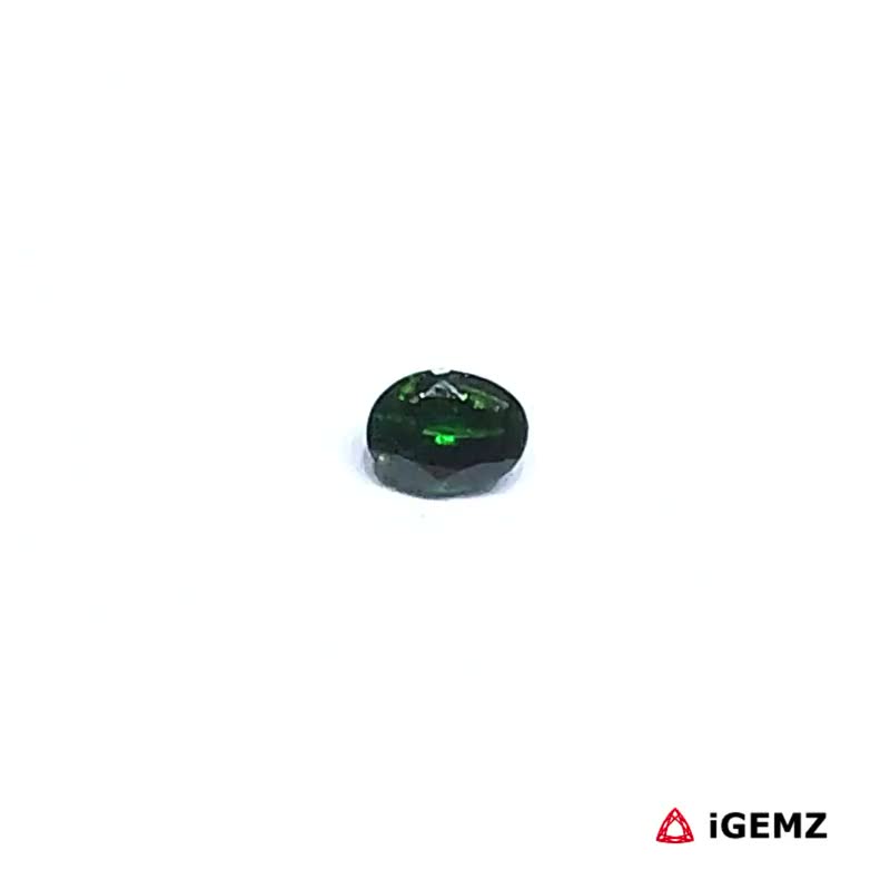 iGemz30533.1 0.22 ct Green Garnet Tsavorite - iGemz30533