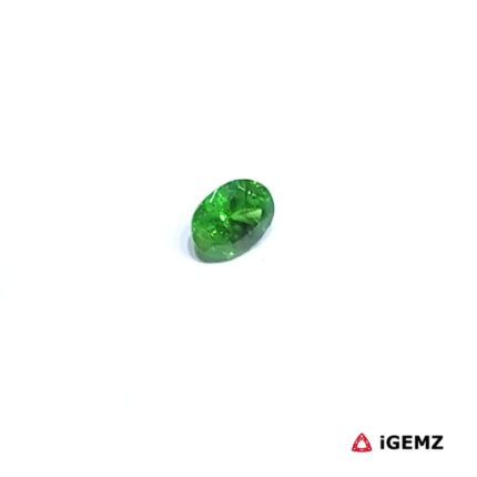 0.26 ct Green Garnet Tsavorite - iGemz30534