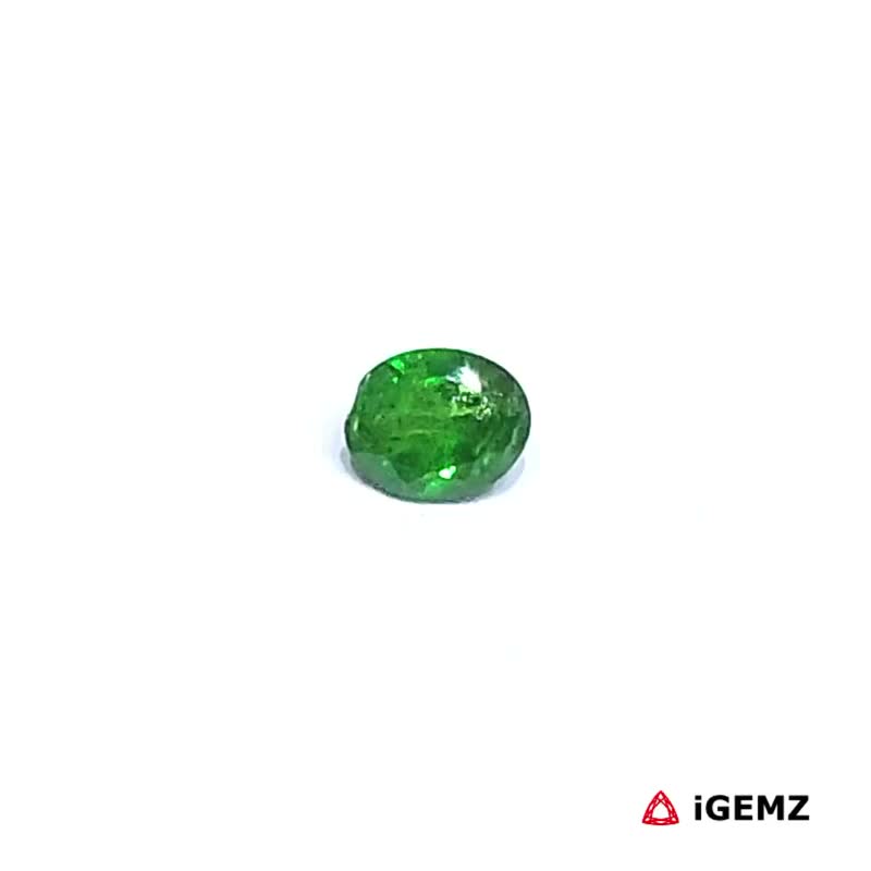 iGemz30535.1 0.31 ct Green Garnet Tsavorite - iGemz30535