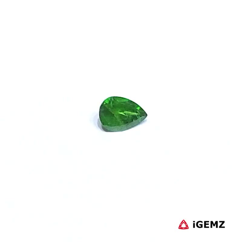 iGemz30537.1 0.22 ct Green Garnet Tsavorite - iGemz30537
