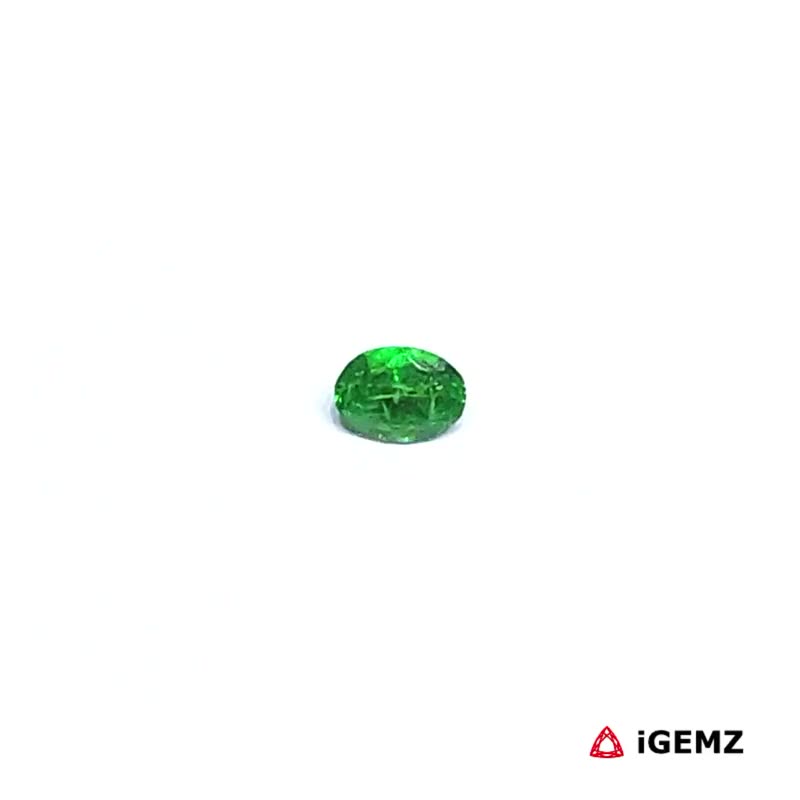iGemz30541.1 0.16 ct Green Garnet Tsavorite - iGemz30541