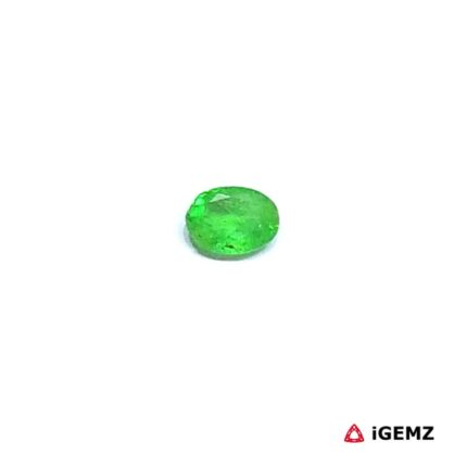 0.23 ct Green Garnet Tsavorite - iGemz30548
