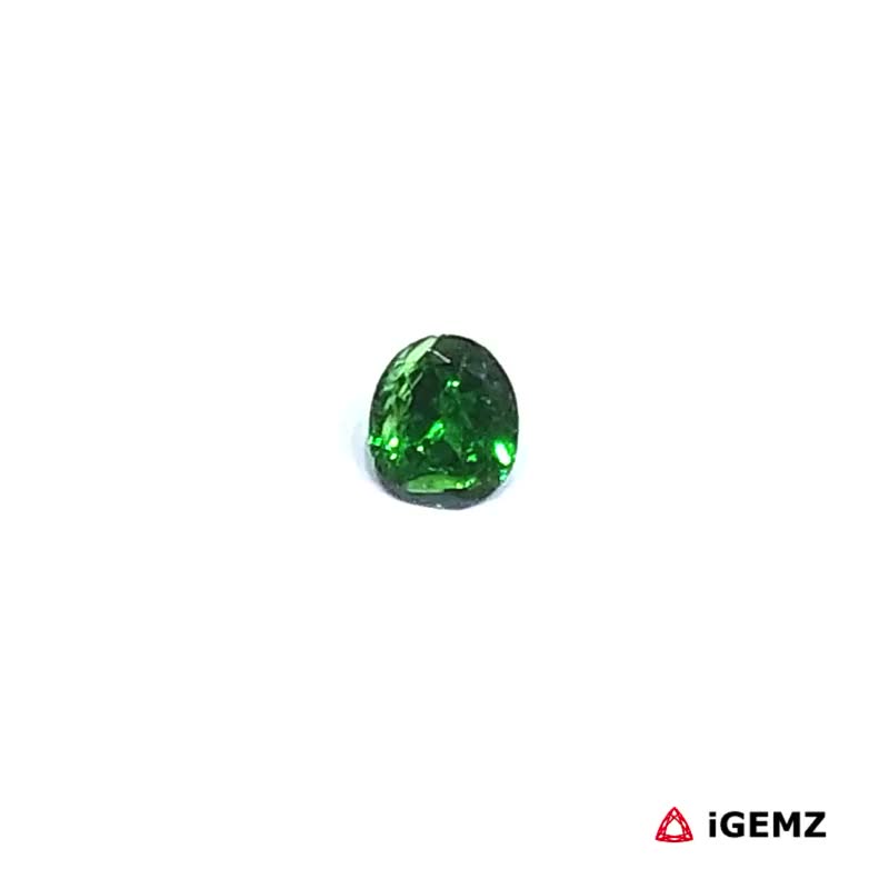 iGemz30551.1 0.24 ct Green Garnet Tsavorite - iGemz30551