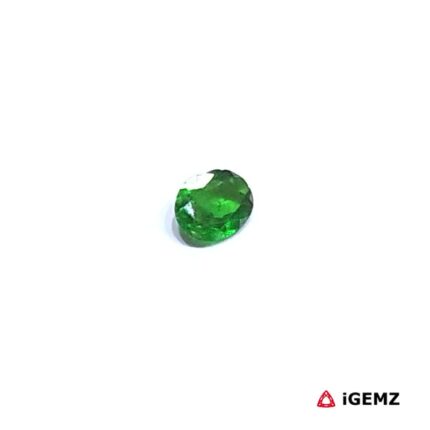 0.24 ct Green Garnet Tsavorite - iGemz30552