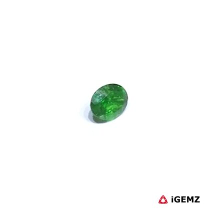 0.33 ct Green Garnet Tsavorite - iGemz30558