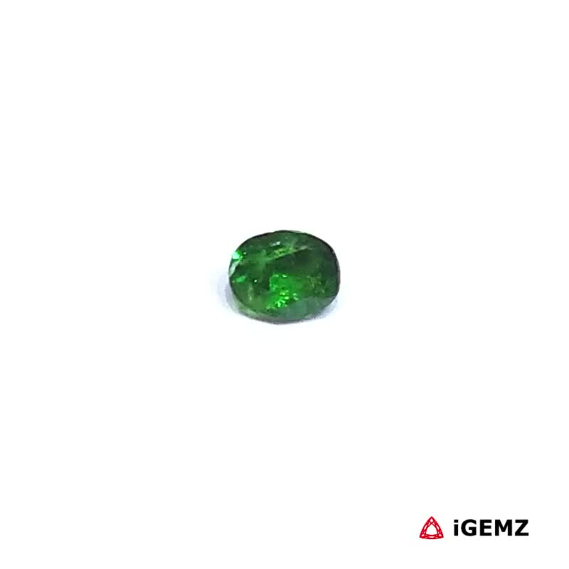 iGemz30560.1 0.25 ct Green Garnet Tsavorite - iGemz30560
