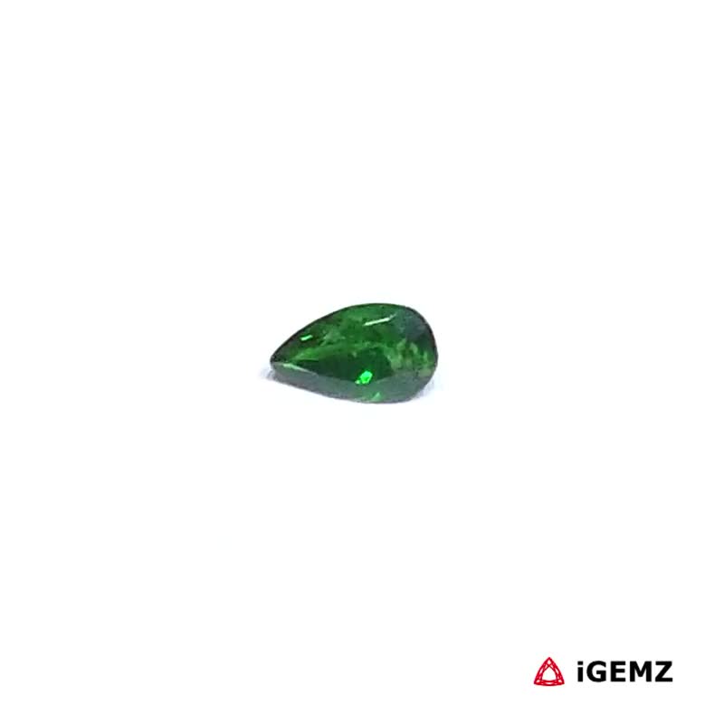 iGemz30565.1 0.24 ct Green Garnet Tsavorite - iGemz30565