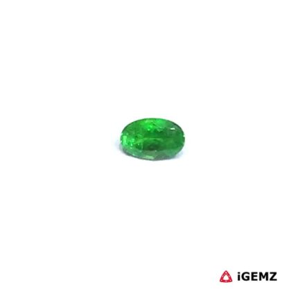 0.29 ct Green Garnet Tsavorite - iGemz30571