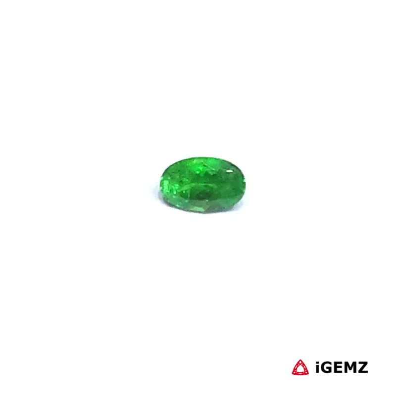 iGemz30571.1 0.29 ct Green Garnet Tsavorite - iGemz30571