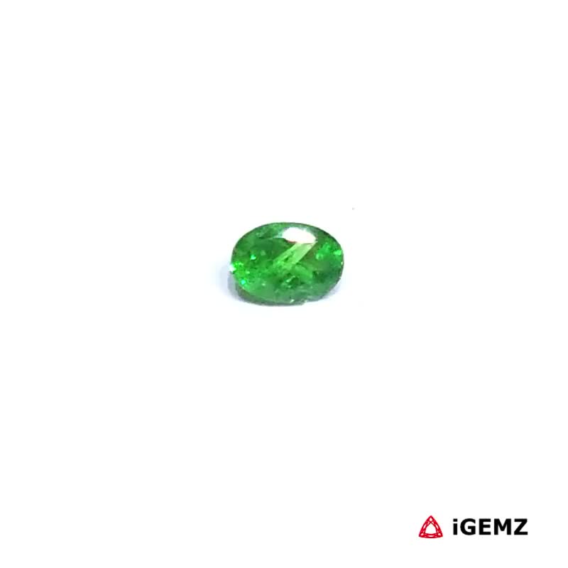 iGemz30578.1 0.25 ct Green Garnet Tsavorite - iGemz30578